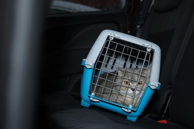 Travel with pet. Cute cat in carrier inside car