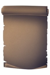 Sheet of old parchment scroll on white background, space for design. Illustration