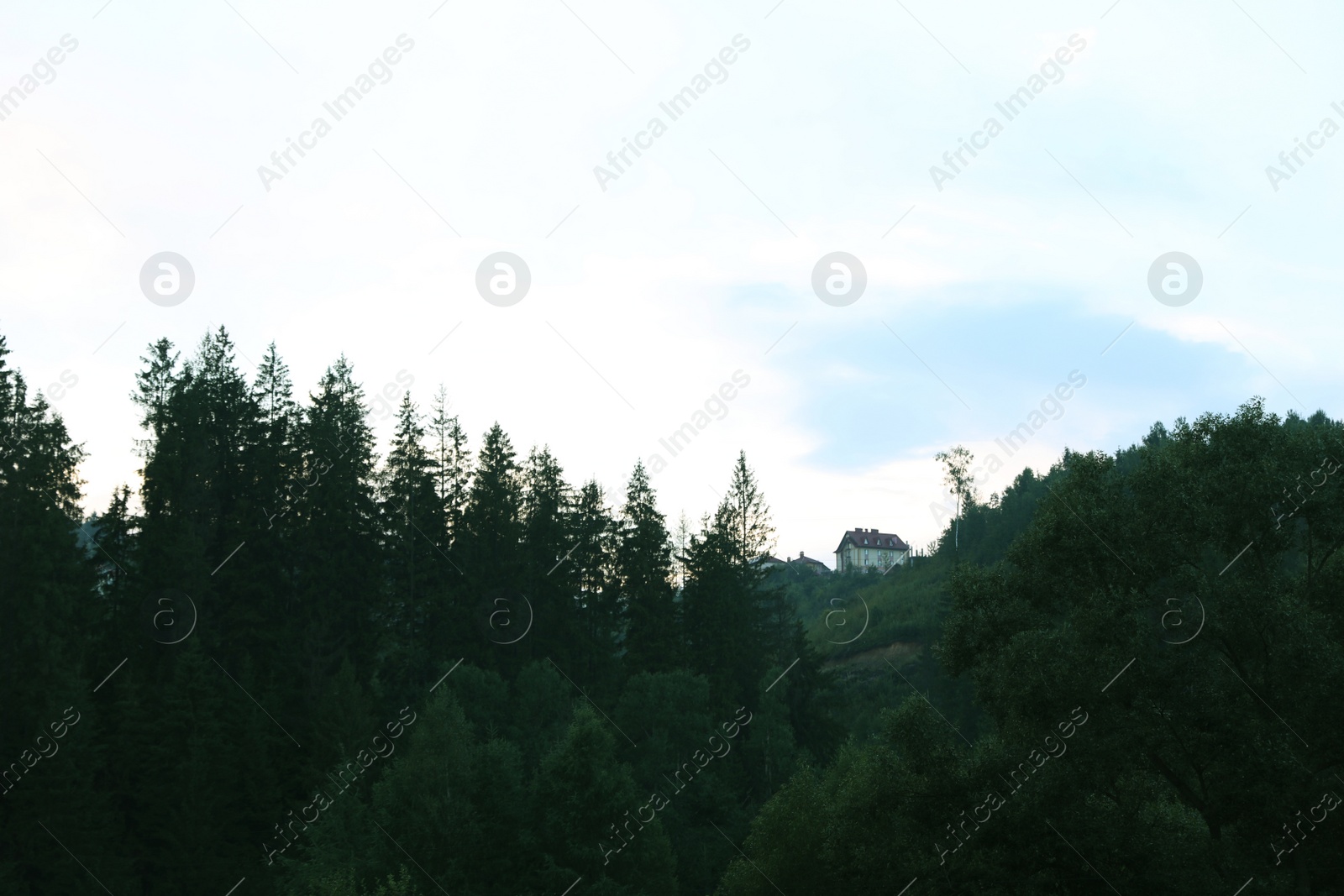 Photo of Picturesque landscape with mountain forest and secluded house