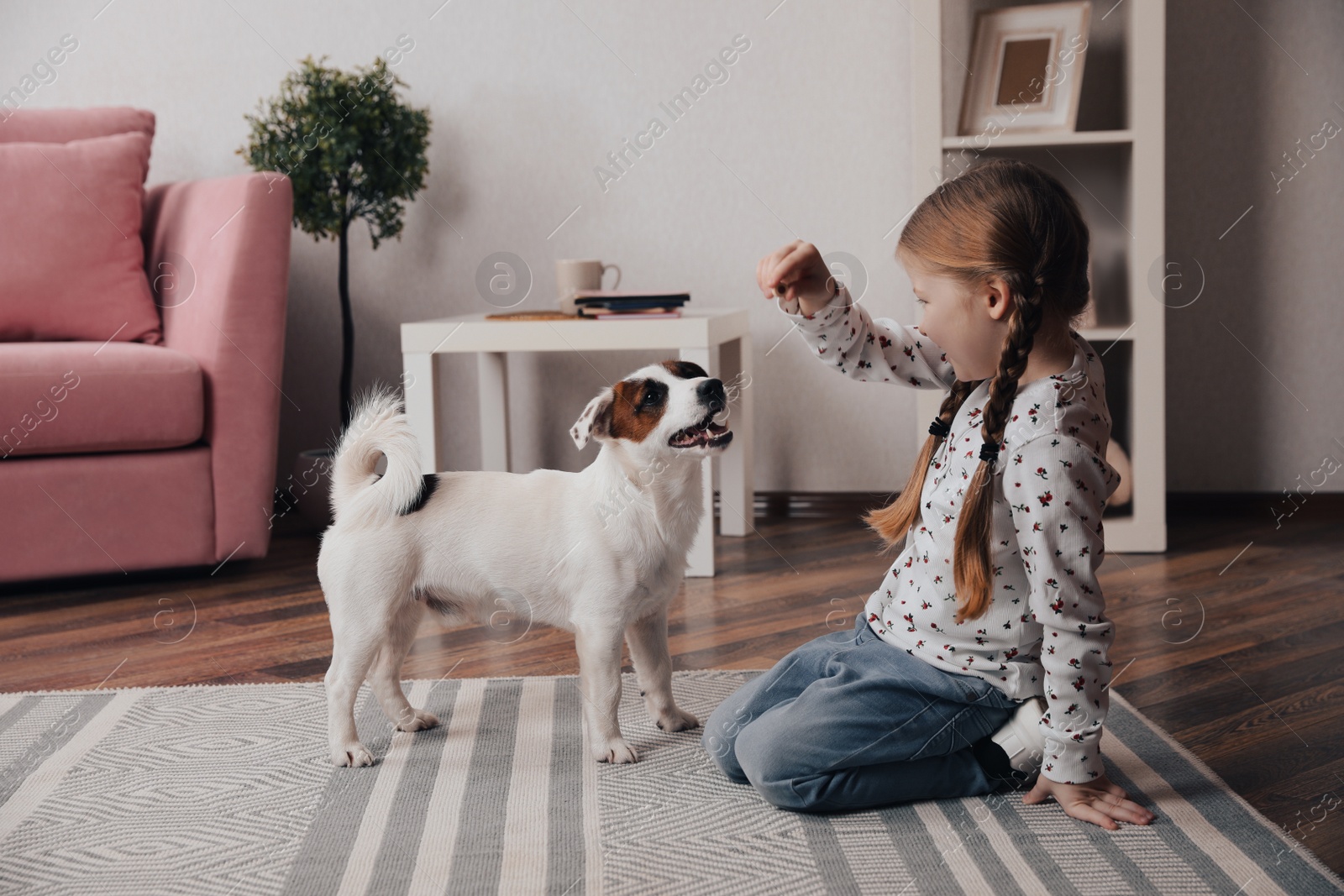 Photo of Cute little girl feeding her dog at home. Childhood pet