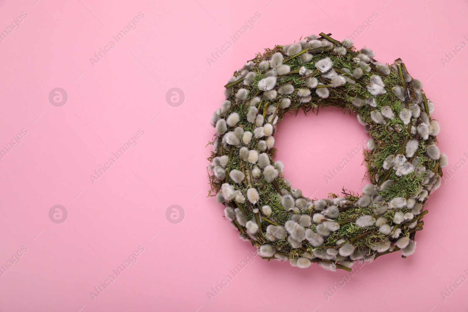 Photo of Wreath made of beautiful willow flowers on pink background, top view. Space for text