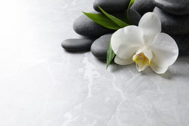 Photo of Spa stones, beautiful orchid flower and bamboo sprout on light grey table. Space for text