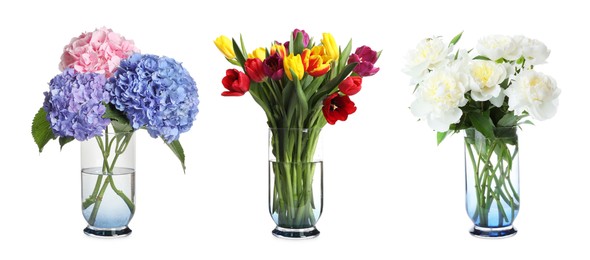 Collage of stylish vase with different bouquets on white background