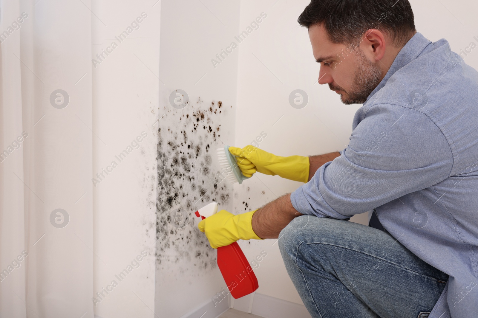 Image of Man in rubber gloves using mold remover and brush on walls in room
