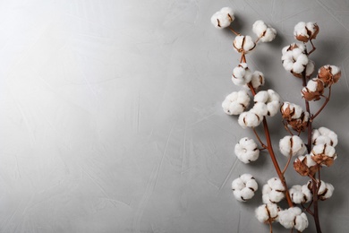 Photo of Fluffy cotton flowers on light grey stone background, flat lay. Space for text