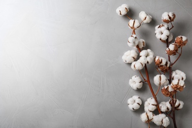 Fluffy cotton flowers on light grey stone background, flat lay. Space for text