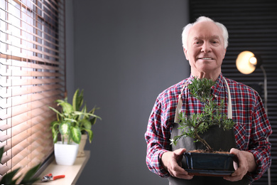 Photo of Senior man with Japanese bonsai plant near window indoors, space for text. Creating zen atmosphere at home