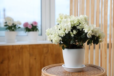 Beautiful azalea plant in flower pot on wooden table indoors, space for text