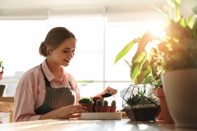 Photo of Young beautiful woman taking care of home plants at wooden table indoors