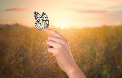 Woman holding beautiful rice paper butterfly in sunlit field, closeup