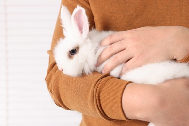 Photo of Man with fluffy white rabbit indoors, closeup. Cute pet