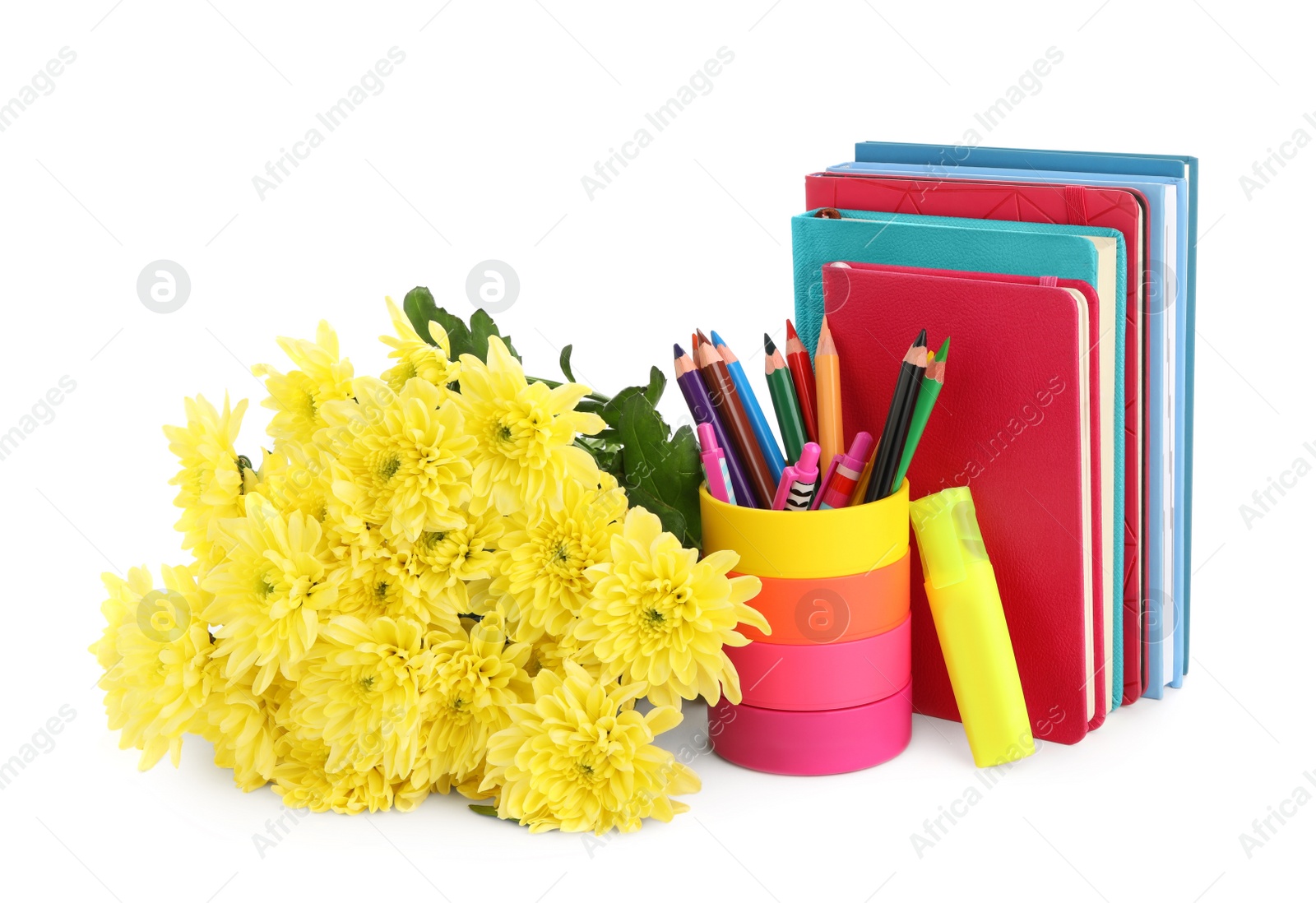 Photo of Beautiful flowers and stationery on white background. Teacher's Day