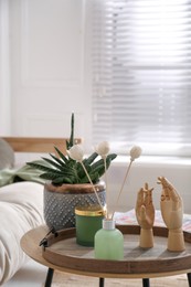 Wooden tray with air reed freshener, plant and mannequin hands on table in living room