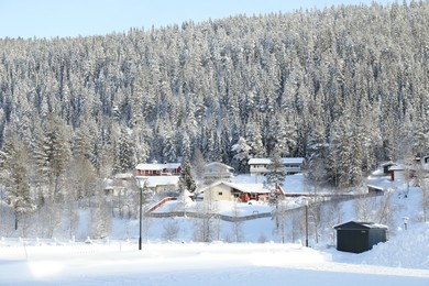 Photo of Picturesque view of snowy forest and cottages outdoors. Winter landscapes