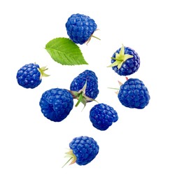 Image of Many fresh blue raspberries and green leaf falling on white background