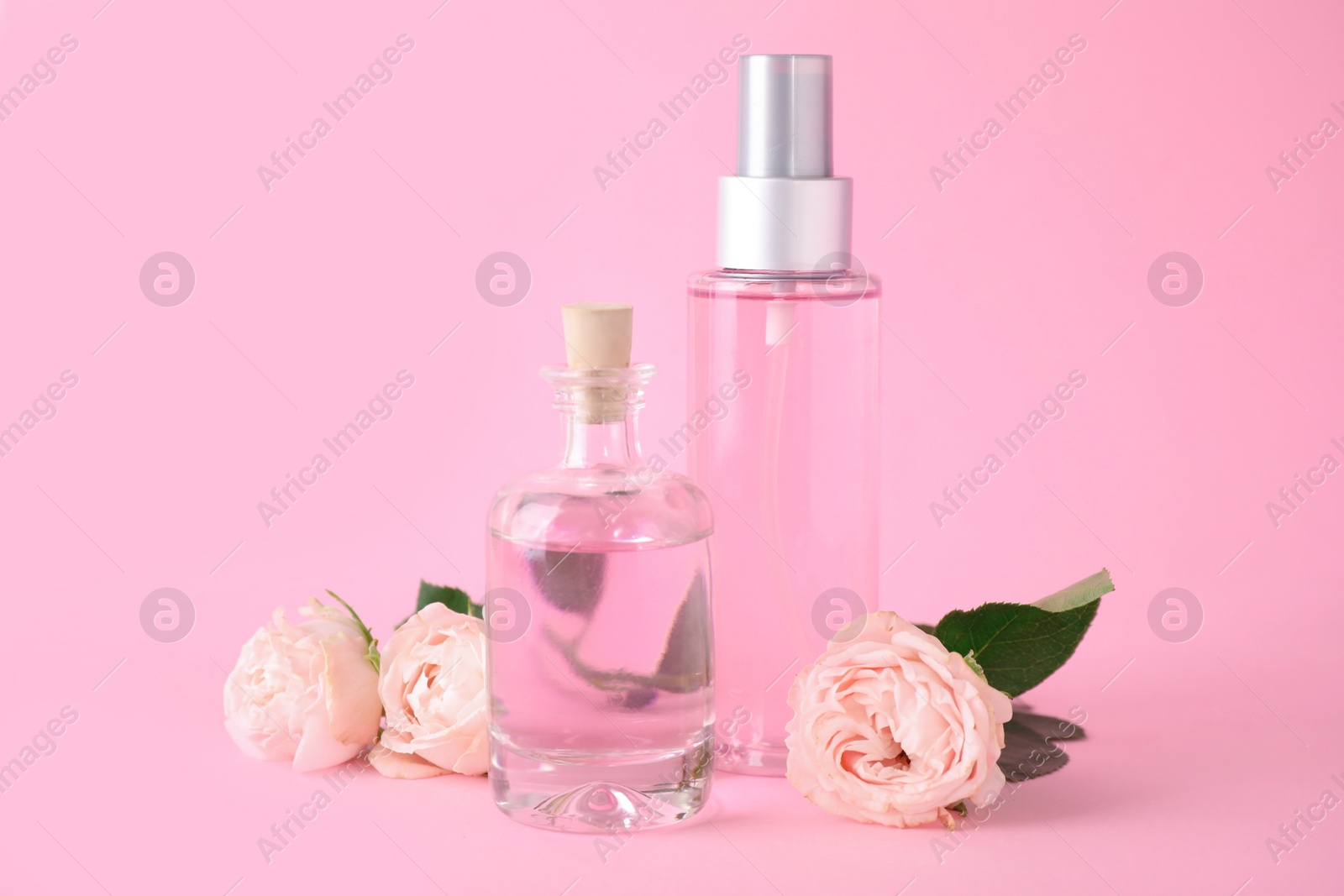 Photo of Bottles of essential oil and roses on pink background