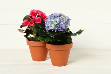 Different beautiful blooming plants in flower pots on white wooden table