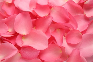 Photo of Fresh pink rose petals as background, closeup