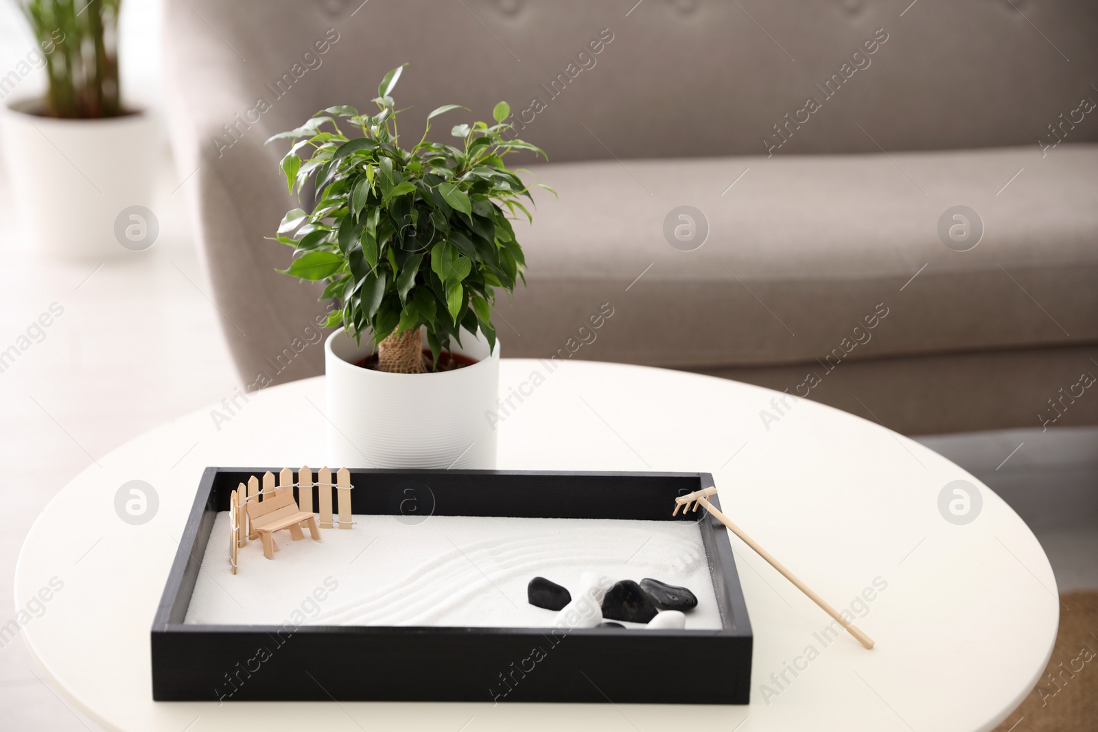 Photo of Beautiful miniature zen garden on white table indoors