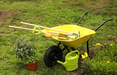 Wheelbarrow and other gardening tools in park on sunny day