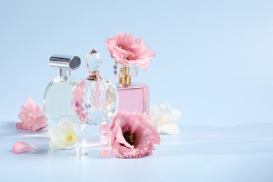 Photo of Bottles of luxury perfumes and floral decor on light blue background. Space for text