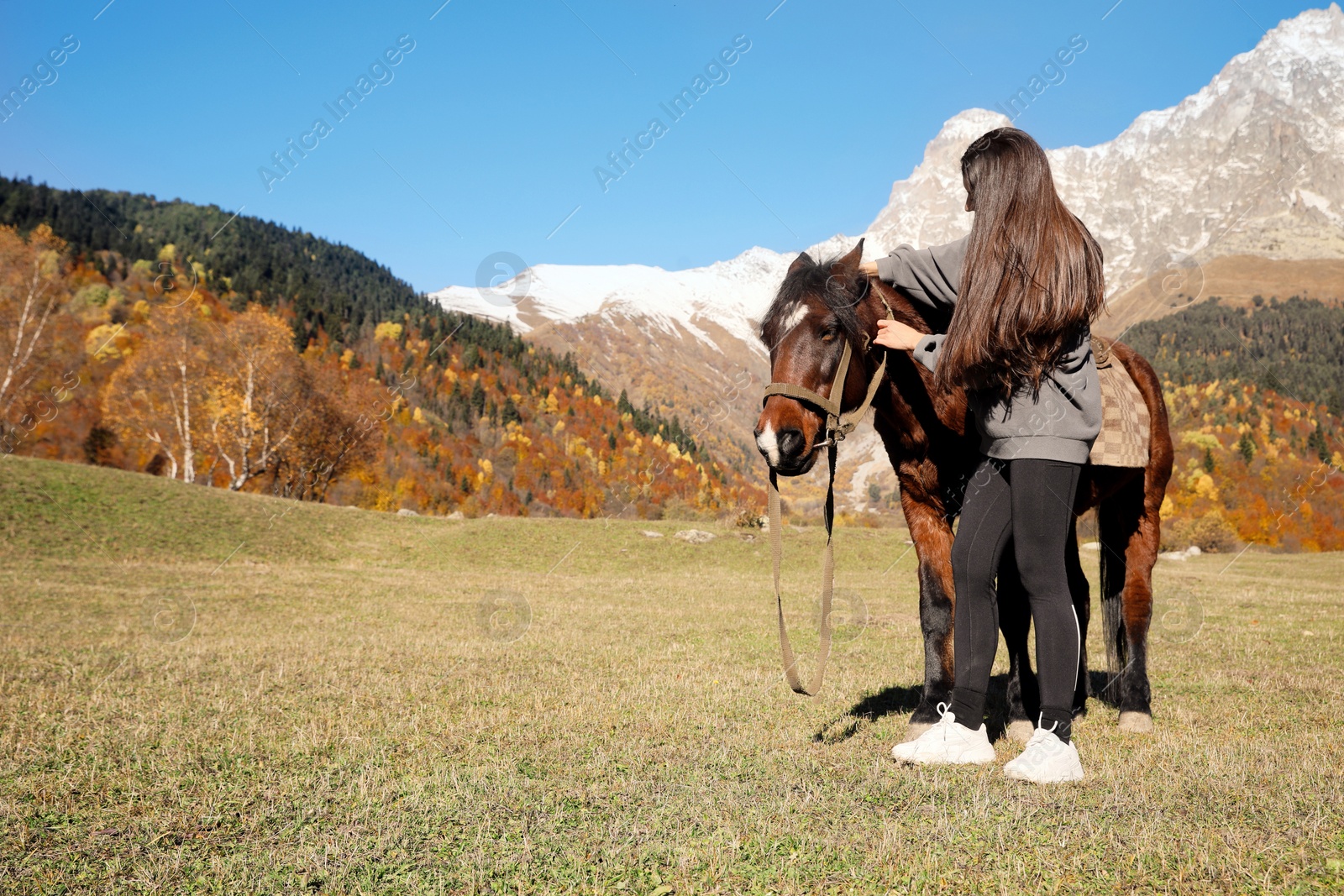 Photo of Young woman with horse in mountains on sunny day, space for text. Beautiful pet