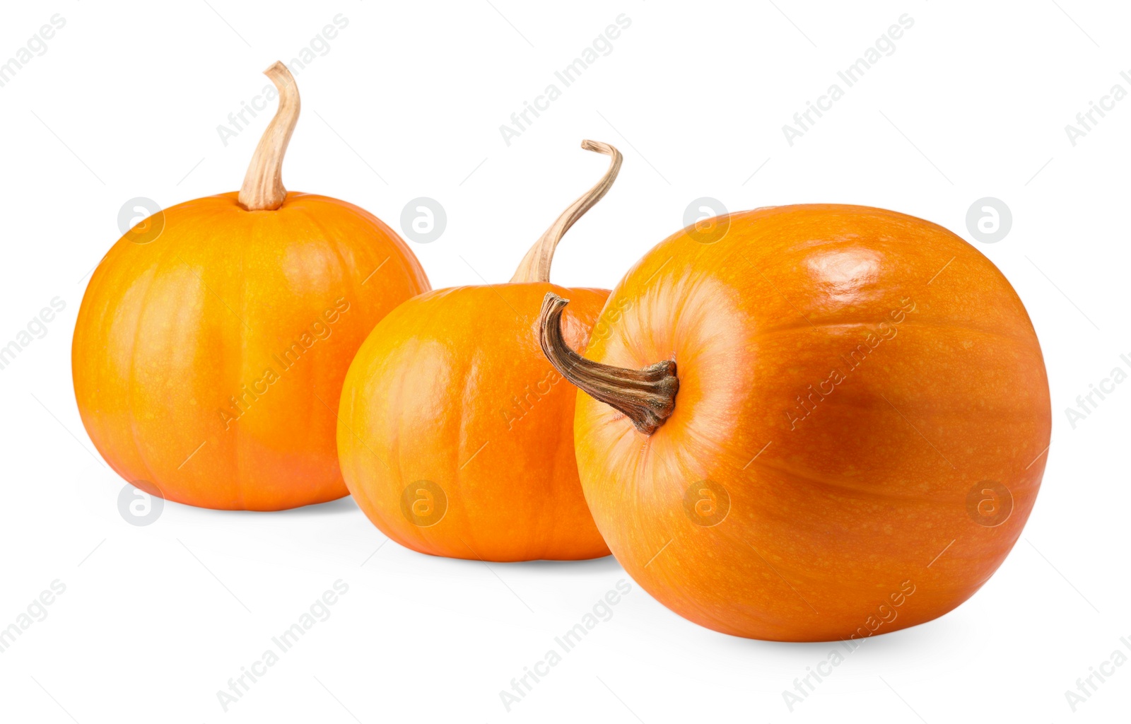 Photo of Many fresh orange pumpkins isolated on white