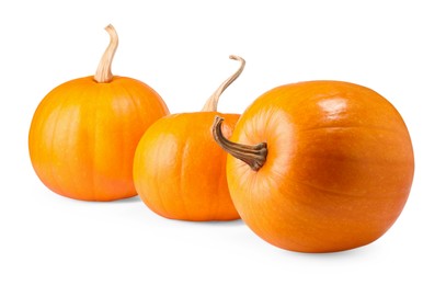 Many fresh orange pumpkins isolated on white