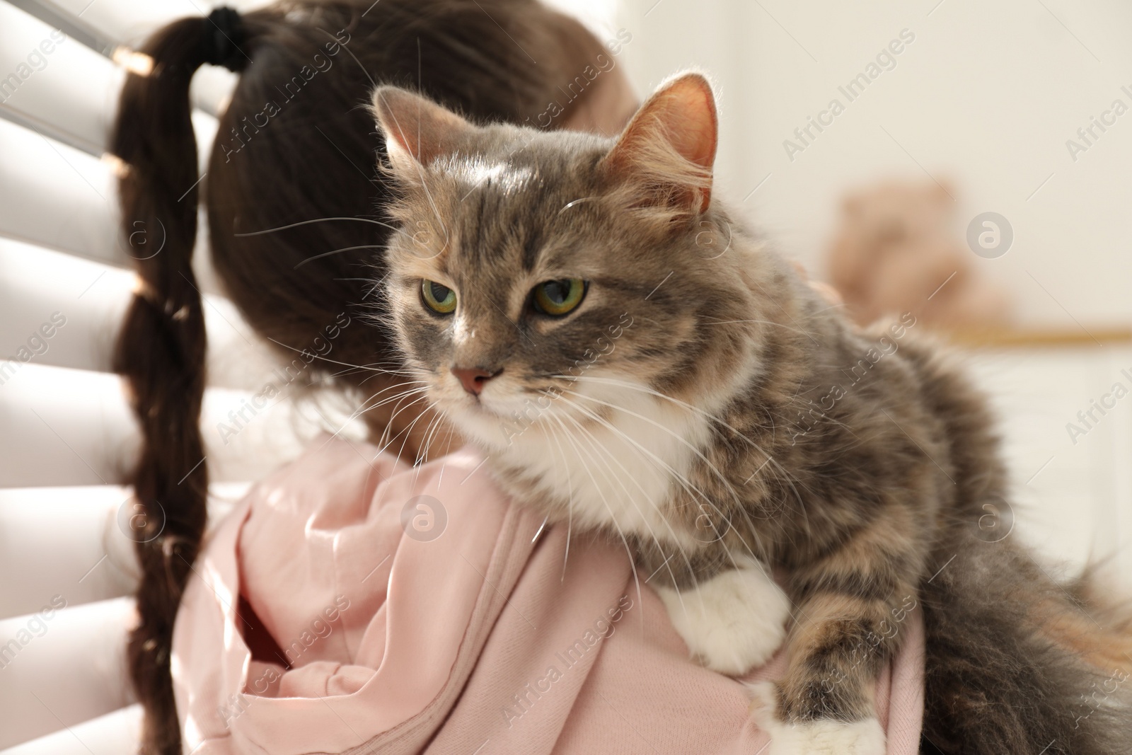 Photo of Little girl holding cute cat near window at home. First pet