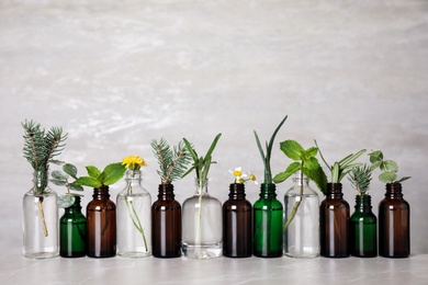 Photo of Glass bottles of different essential oils with plants on table