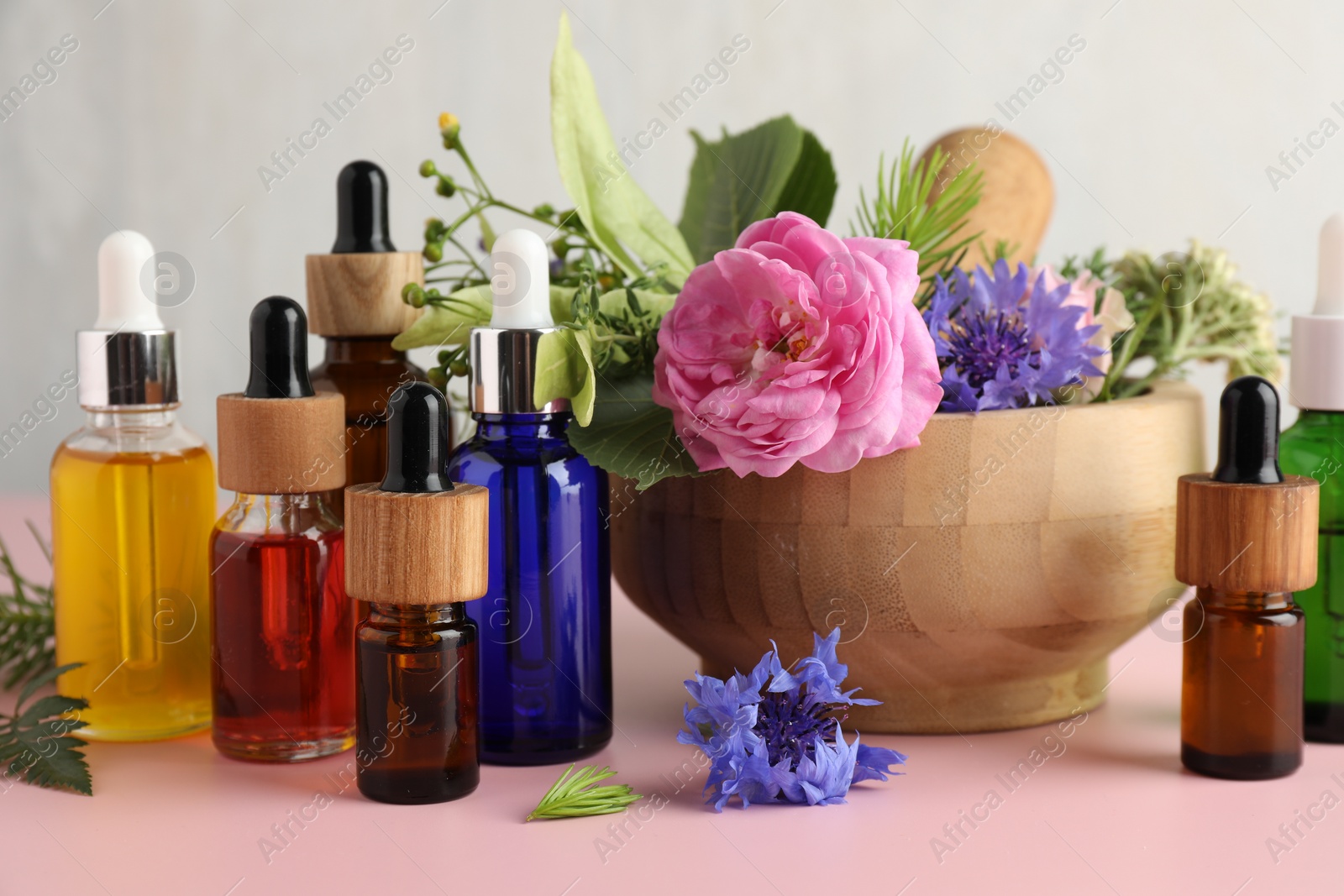 Photo of Aromatherapy. Different essential oils and flowers on pink table