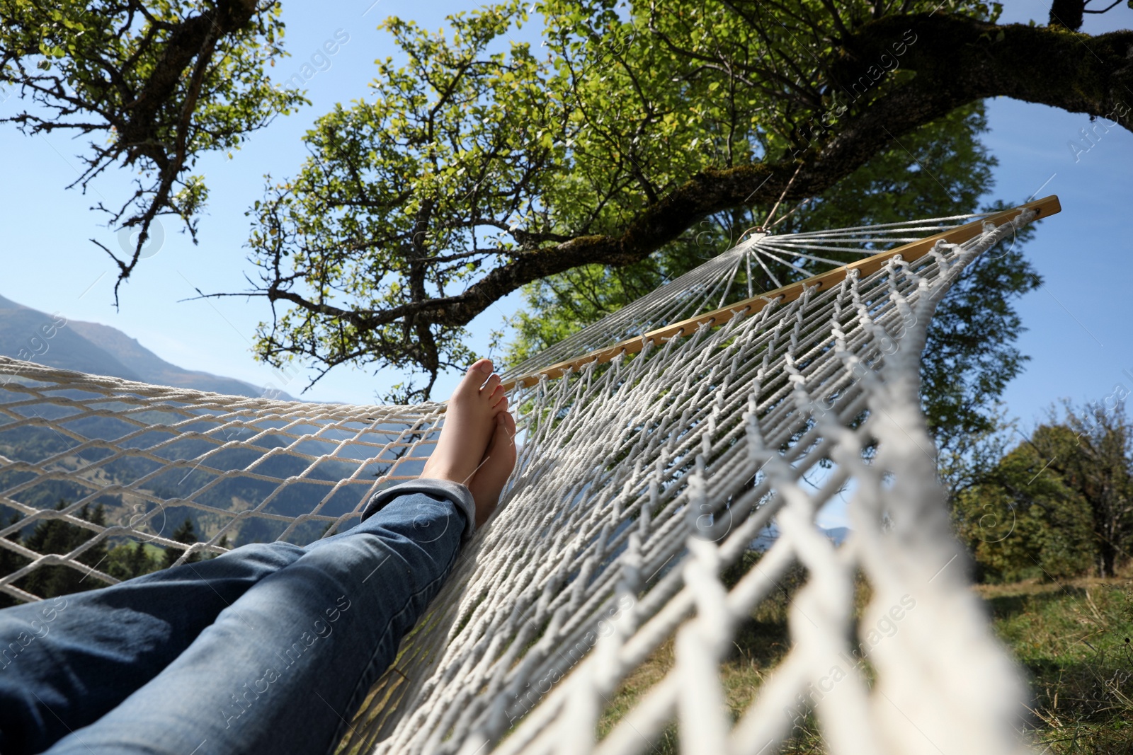 Photo of Man resting in hammock outdoors on sunny day, closeup