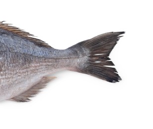 Photo of Fresh raw dorado fish isolated on white, top view