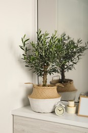 Photo of Olive tree in pot and alarm clock on white window sill indoors. Interior design
