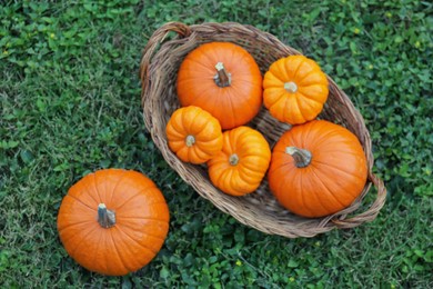 Photo of Wicker basket and whole ripe pumpkins on green grass outdoors, flat lay