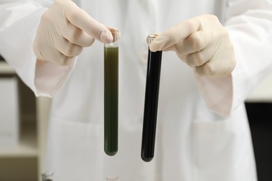 Photo of Laboratory worker holding test tubes with crude oil, closeup
