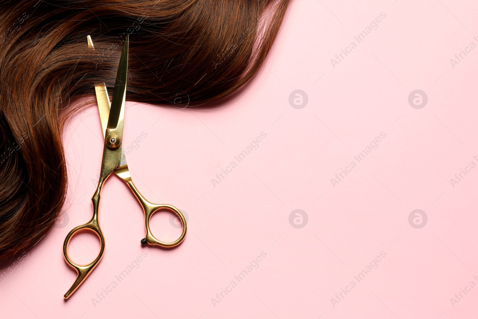 Photo of Professional hairdresser scissors with brown hair strand on pink background, top view. Space for text