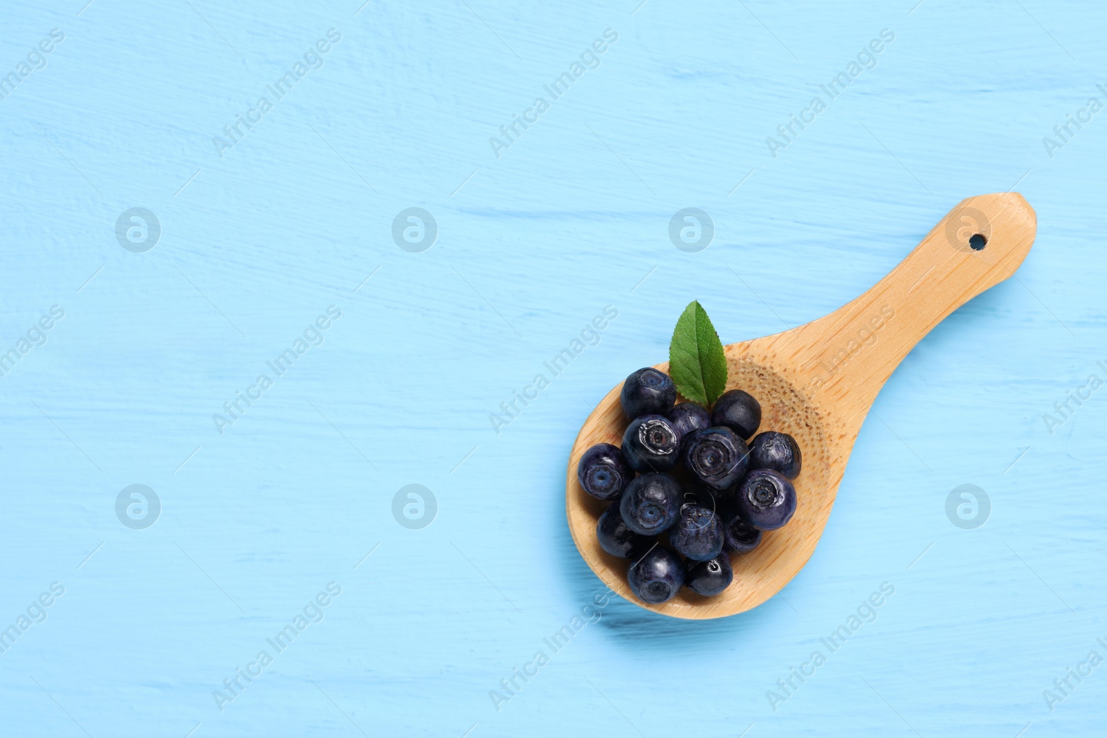 Photo of Spoon with ripe bilberries and leaf on light blue wooden table, top view. Space for text