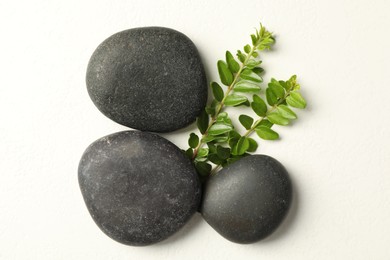 Photo of Spa stones and branches of plant on white table, flat lay