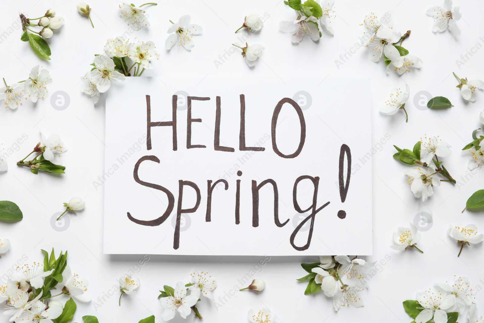 Photo of Beautiful flowers and Hello Spring card on white background, flat lay