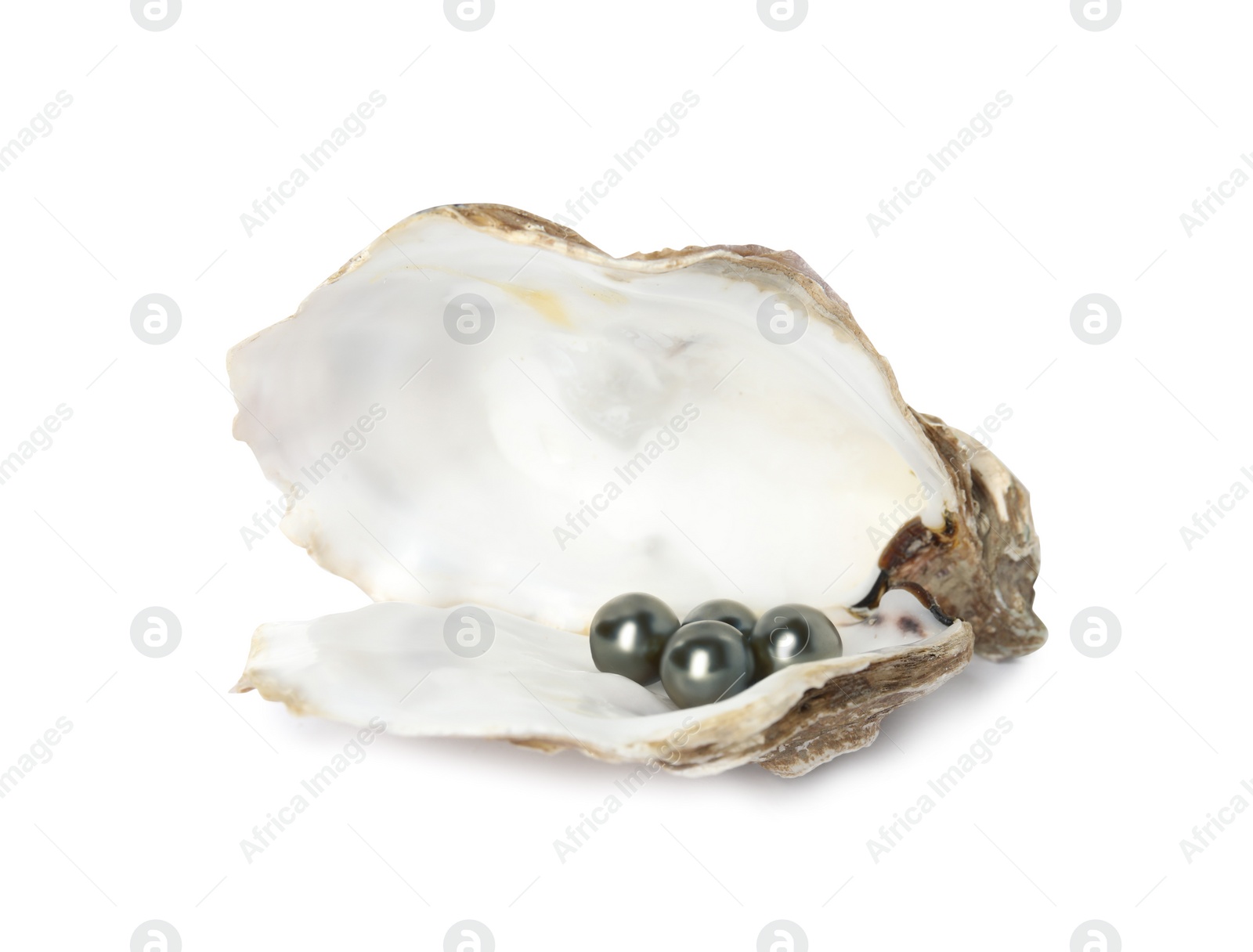 Photo of Open oyster shell with black pearls on white background