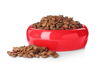 Bowl of dry pet food on white background