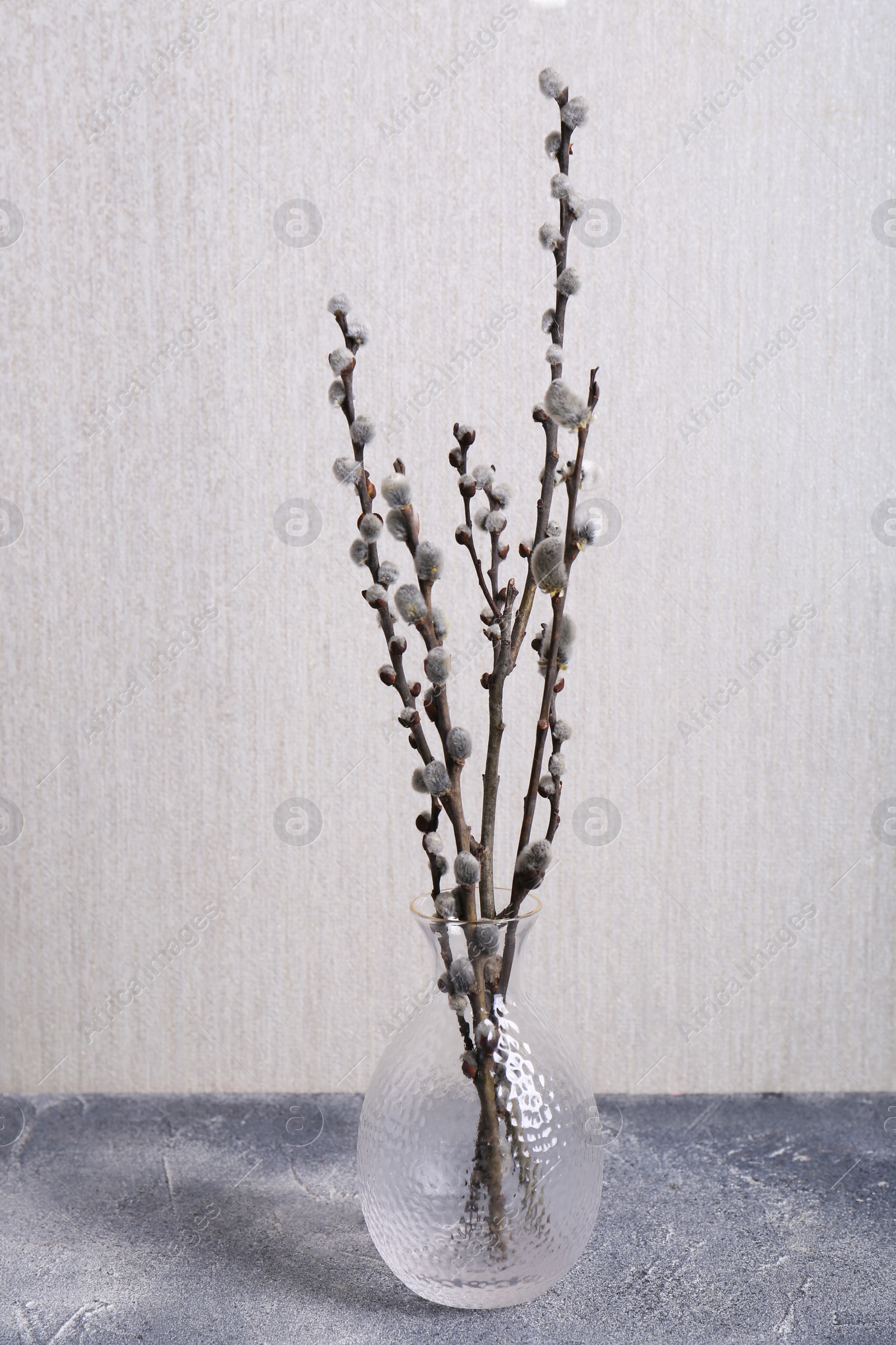 Photo of Vase with beautiful blooming willow branches on light grey table