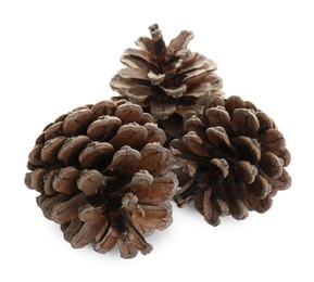 Photo of Beautiful dry pine cones on white background