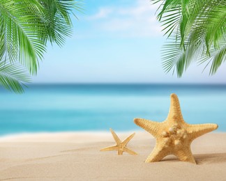 Image of Beautiful sea stars on sandy beach. Space for text 