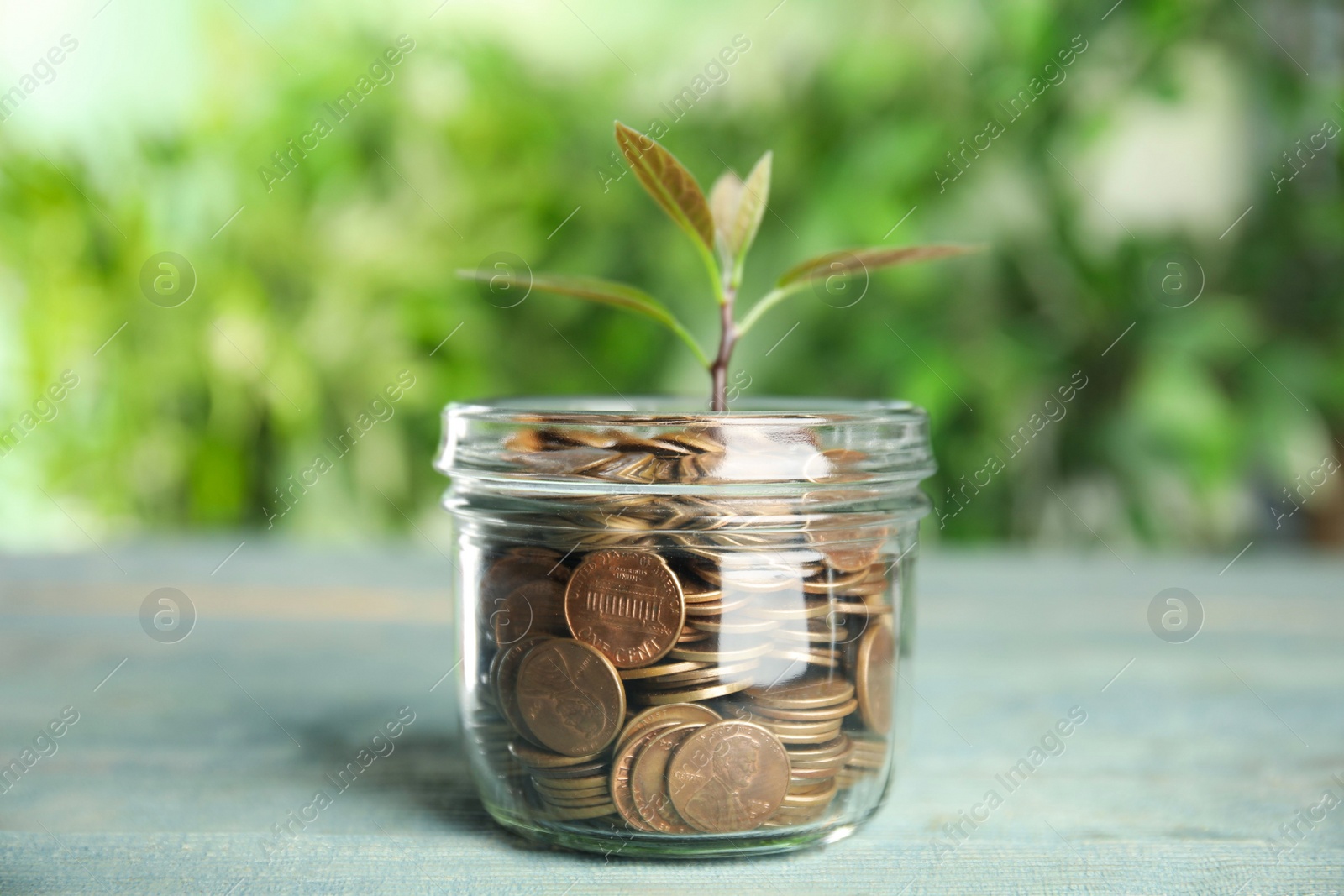 Photo of Glass jar with coins and green plant on light blue wooden table