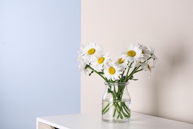 Photo of Beautiful tender chamomile flowers in vase on white wooden commode near color wall, space for text