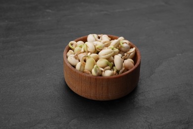 Photo of Sprouted kidney beans in bowl on black table, closeup