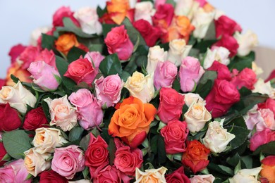 Bouquet of beautiful roses on light background