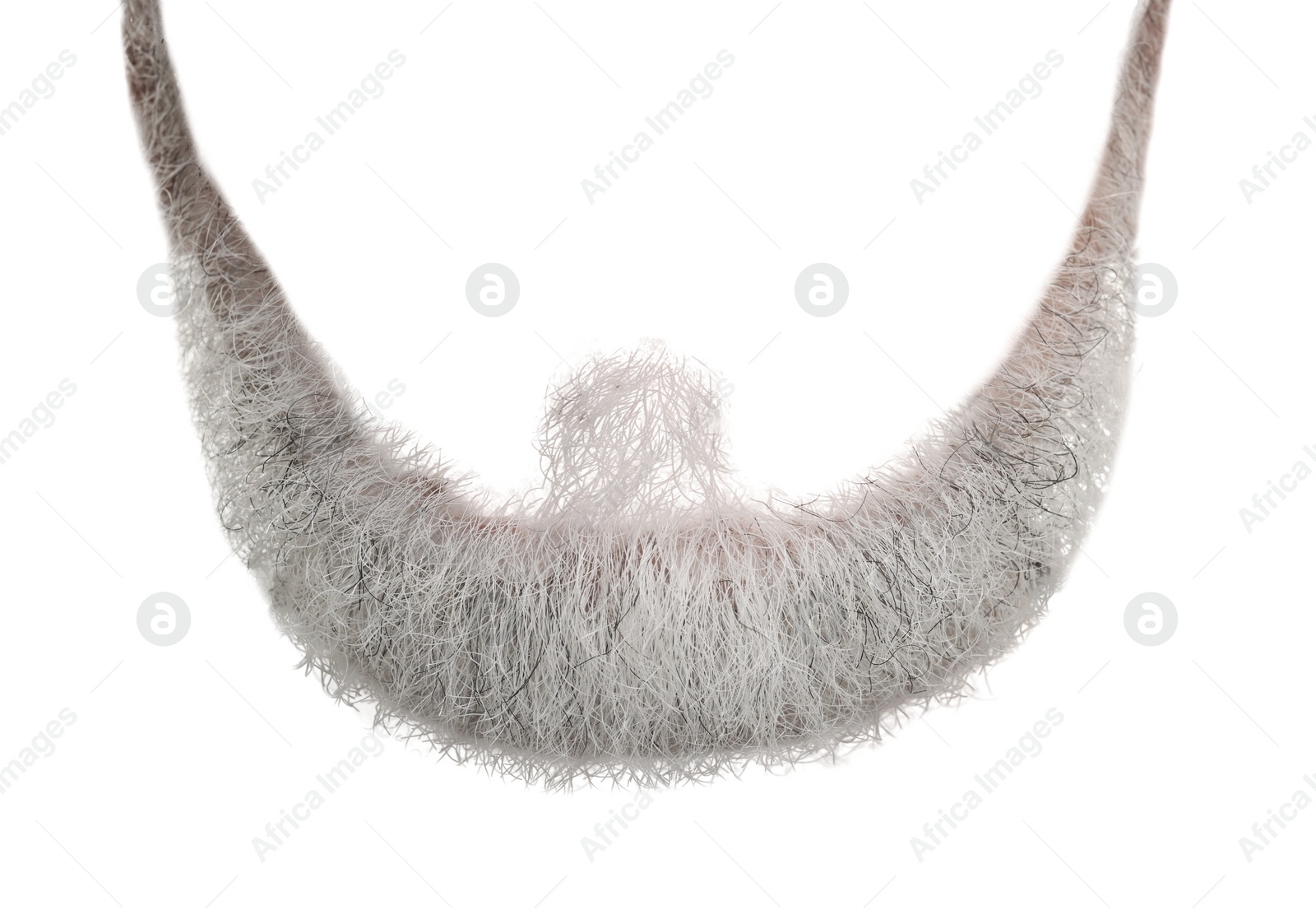 Image of Stylish gray beard isolated on white. Facial hair